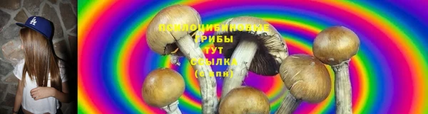 соль ск Богородск