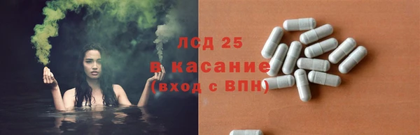 соль ск Богородск