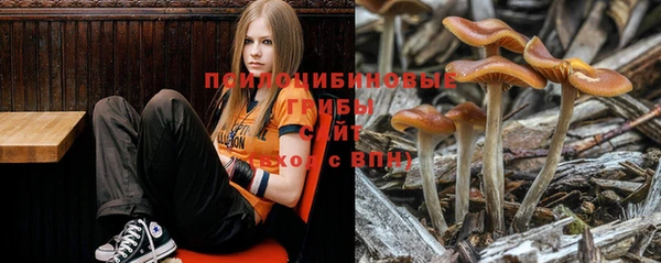 кокаин премиум Богородицк